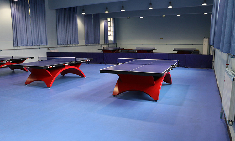 �������ʡ�w����(ch��ng)ƹ�����^